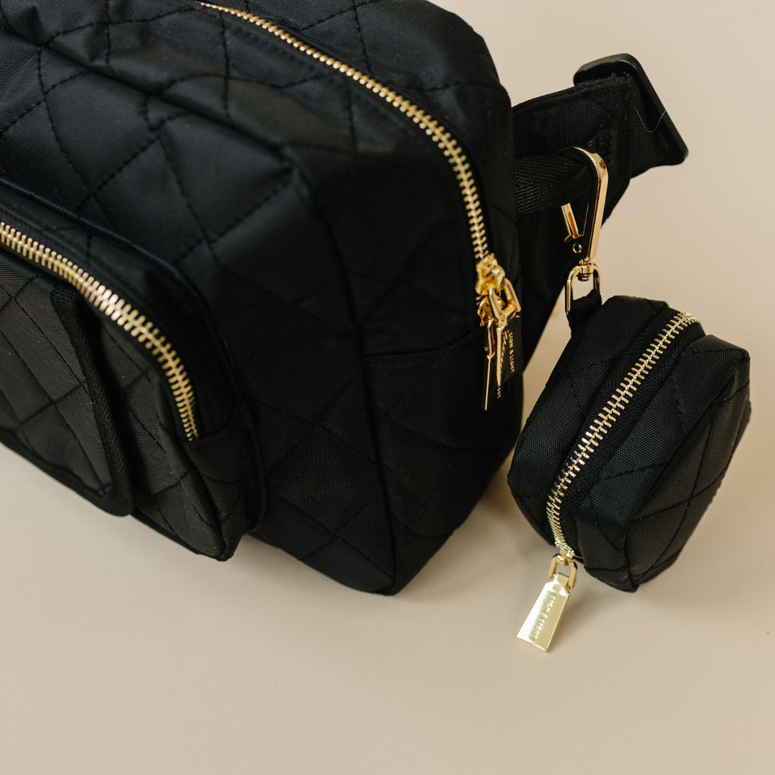Travel-Ready Bundle Lion & Light