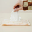 Reusable Wipes Packs (Set of 2) - Lion & Light